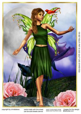 Aint She Sweet Fairy 77