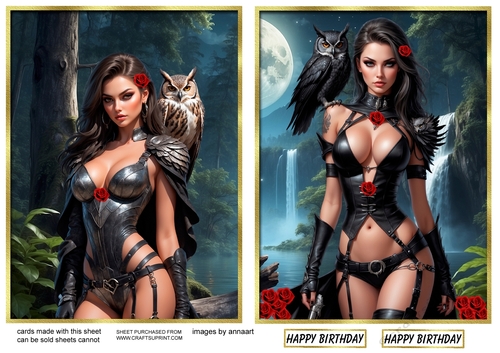 Birds of prey 3 and 4 toppers