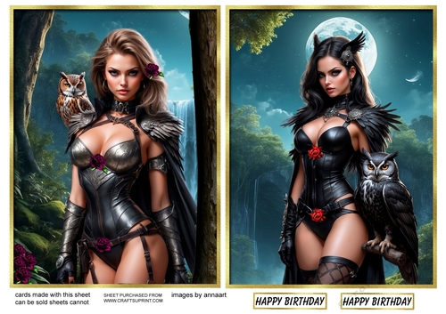 Birds of prey 5 and 6 toppers