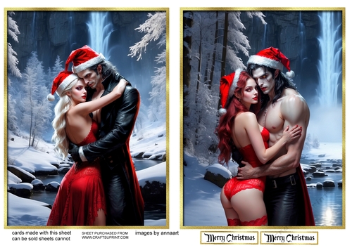 A  Christmas couple