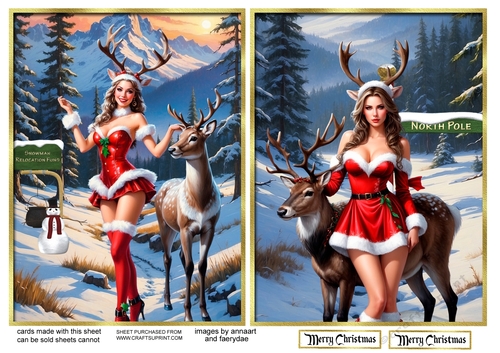 Winter toppers 3 and 4