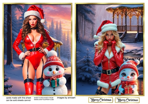Sexy Santa and the snowman toppers 1 and 2