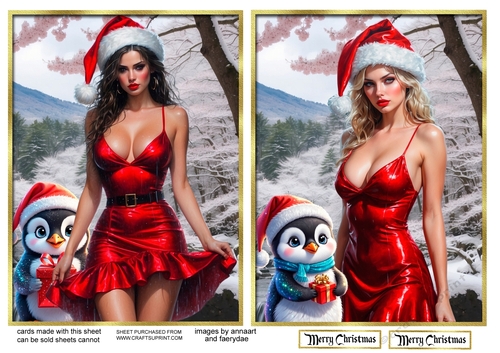 Sexy Santa and the penguin toppers 1 and 2