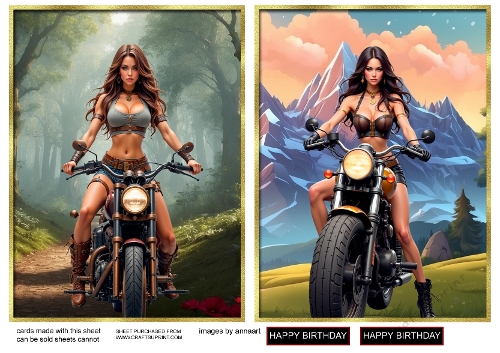 Girl on a motorbike 1 and 2 toppers