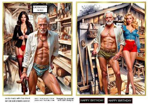 Grandads shed 1 and 2