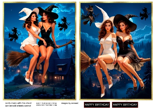Fly me to the moon 5 and 6
