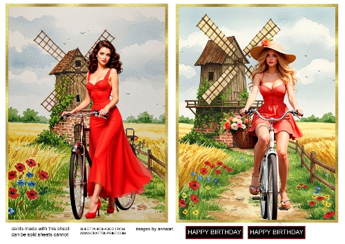 Girl on a bike 3 and 4
