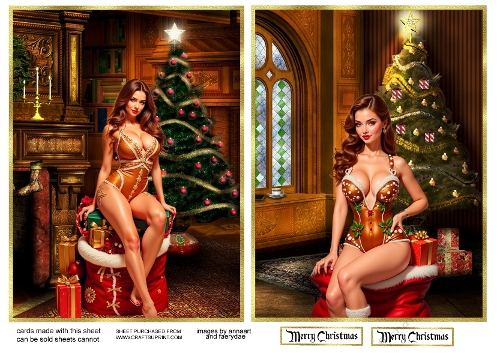 Whats Santa bringing you 3 and 4