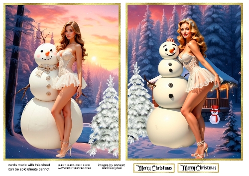 Mr. Snowman and the girl 1and 2
