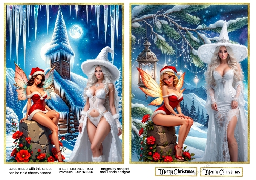 Winter witch and the fairy 1 and 2