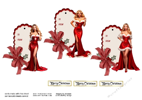 Festive ladies christmas tags