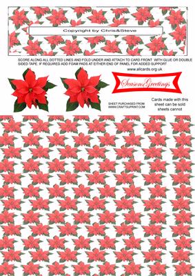 Poinsettia Penny Slider Card