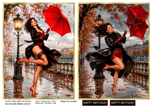 Girl in the rain 1 and 2