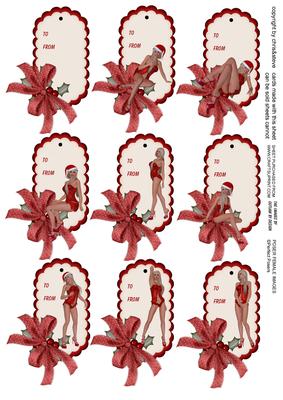 Adult Themed Christmas Tags