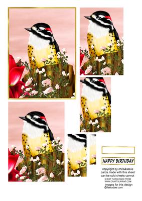 American Woodpecker Oblong Pyramage
