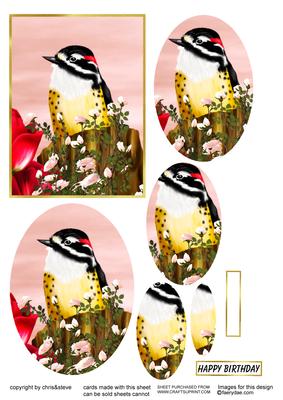 American Woodpecker Oval Pyramage