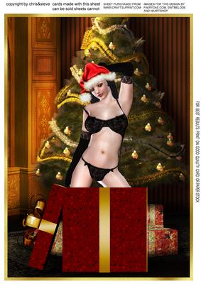 Christmas Surprise