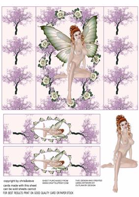 Sexy Fairy Gate Fold