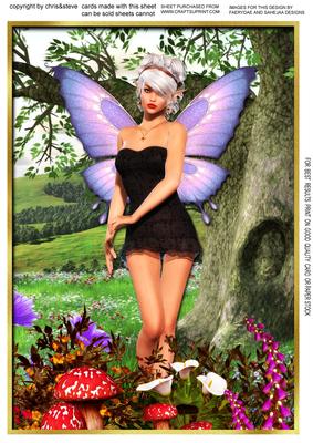 Walking with Fairies