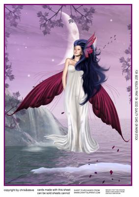Fairy Nights 2