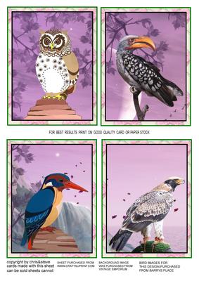 Feathered Friends Toppers