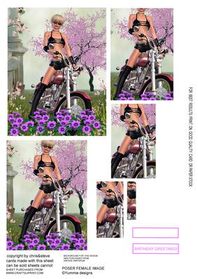 Easy Rider 1