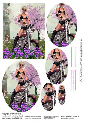 Easy Rider 2