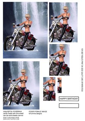 Born to Be Wild 1