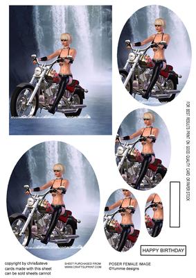 Born to Be Wild 2