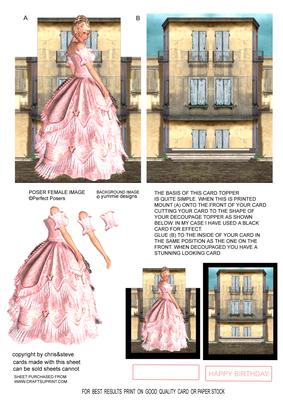 Claudine Decoupage Front and Inside Embeleshment