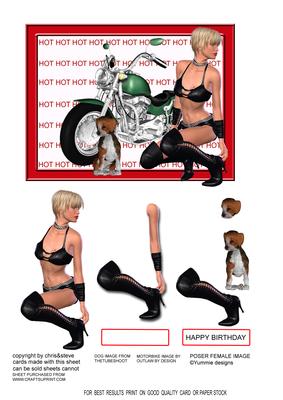 Sexy Biker and the Puppy Decoupage