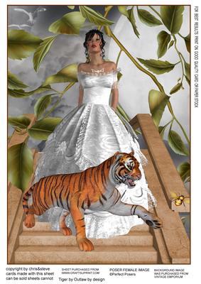 Beauty and the Beast 1