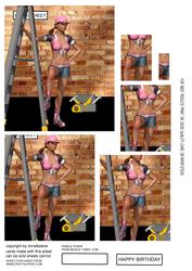 Builder Chick 1 Pyramage