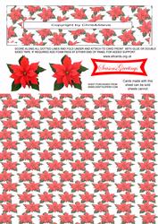 Poinsettia Penny Slider Card