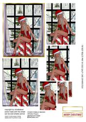 Whats Santa Bringing You Oblong Pyramage