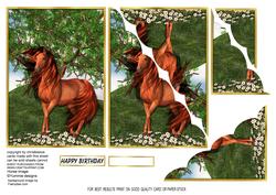 Horse Sense