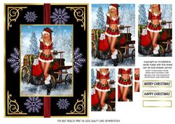 Christmas Moments