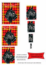 A Scottie Birthday