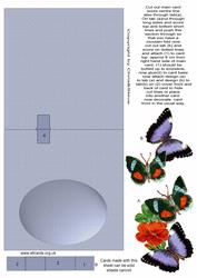 Butterfly Pop Up 1