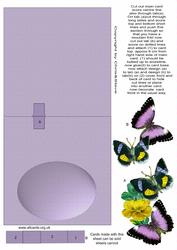 Butterfly Pop Up 2