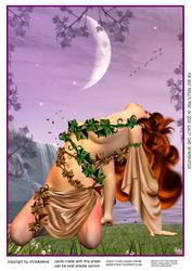 Fairy Nights 1