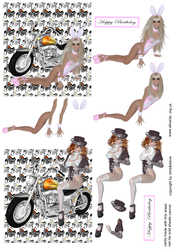 Girl Bikers 1