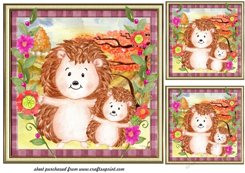 3 Framed cute hedgehog card fronts/toppers