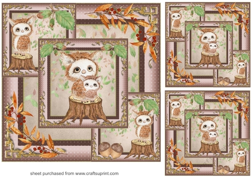 3 All about the owls card fronts/toppers