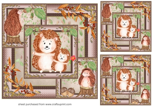 3 All about the hedgehogs card fronts/toppers