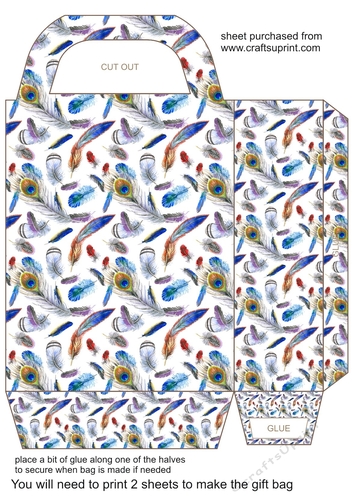 White feathers gift bag 