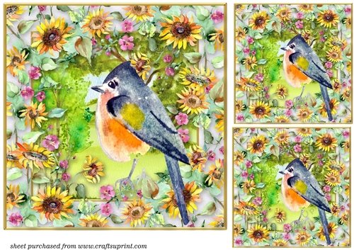 3 All about the birds card fronts/toppers 5