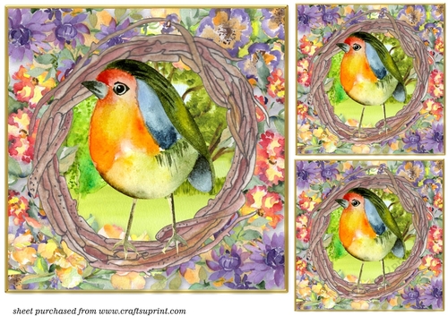3 All about the birds card fronts/toppers 2