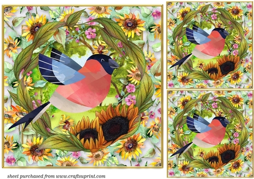 3 All about the birds card fronts/toppers 7