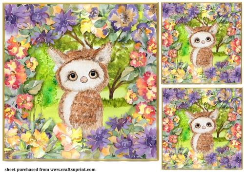 3 Multi floral owl card fronts/toppers